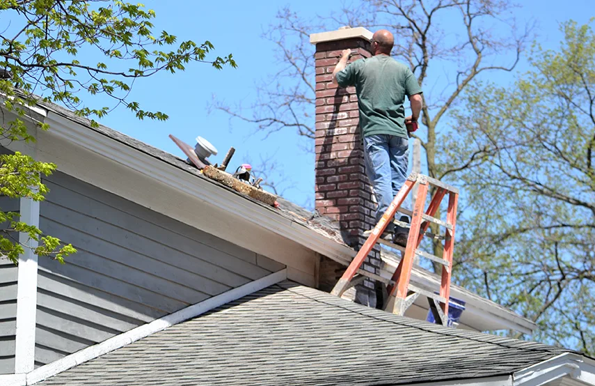 Chimney & Fireplace Inspections Services in Knoxville, TN